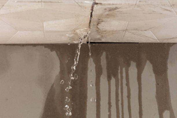 Professional Water Damage Inspection technician working in Wolfe City, TX